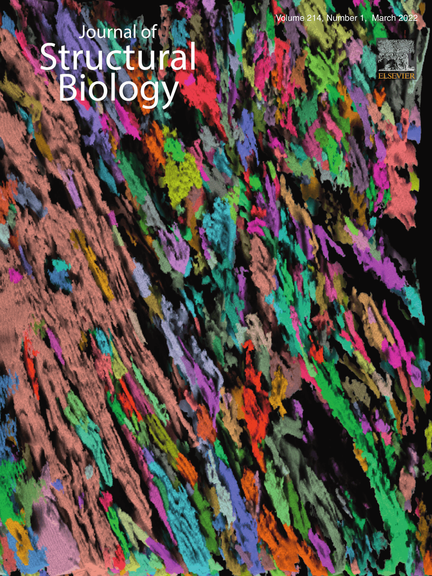 Multiscale imaging of bone