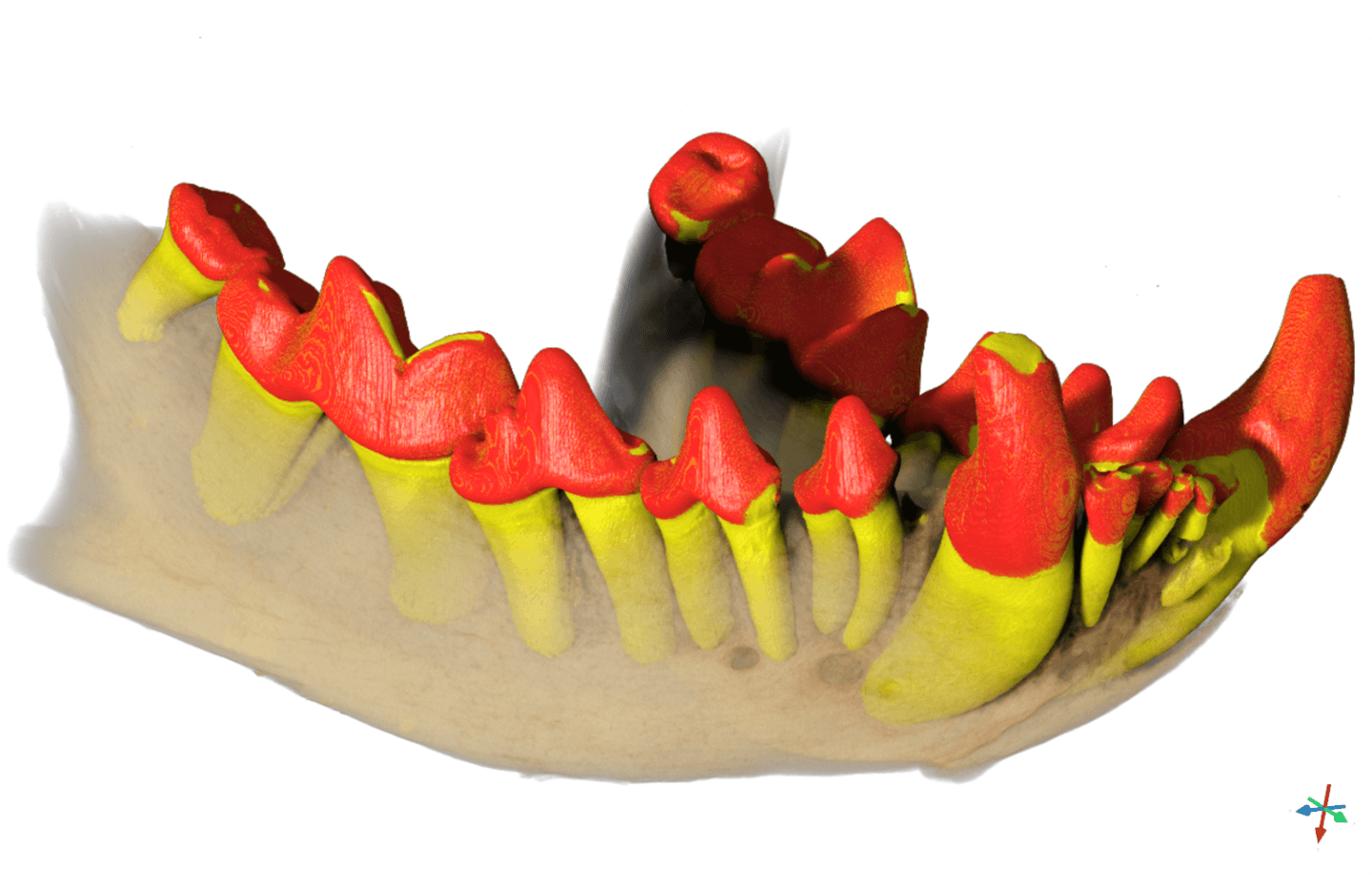 Research imagery from Hubert Taïeb