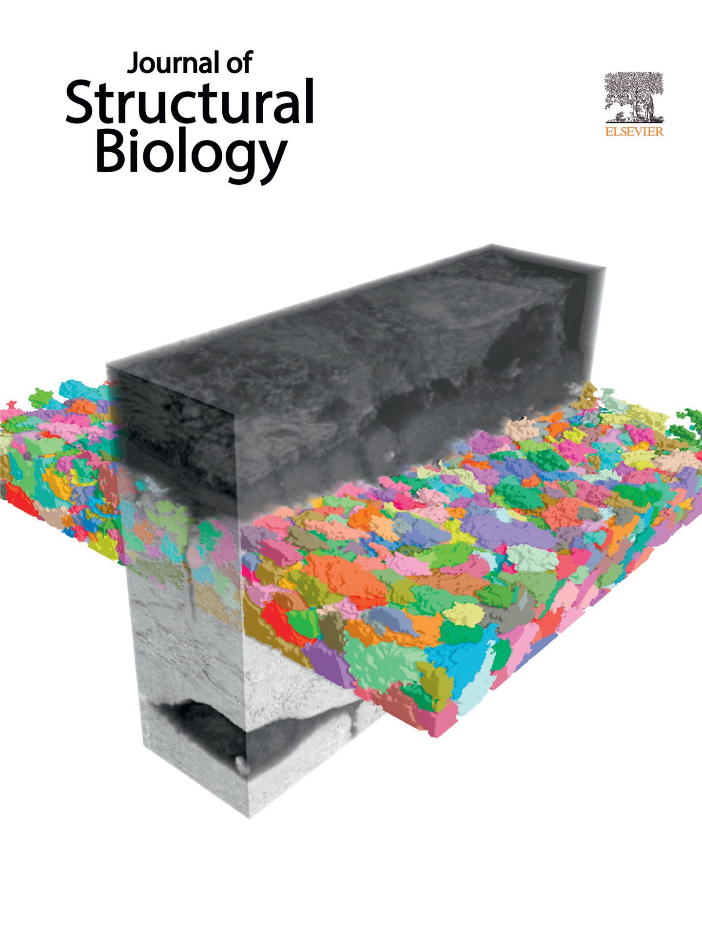 Bone mineral tessellation
