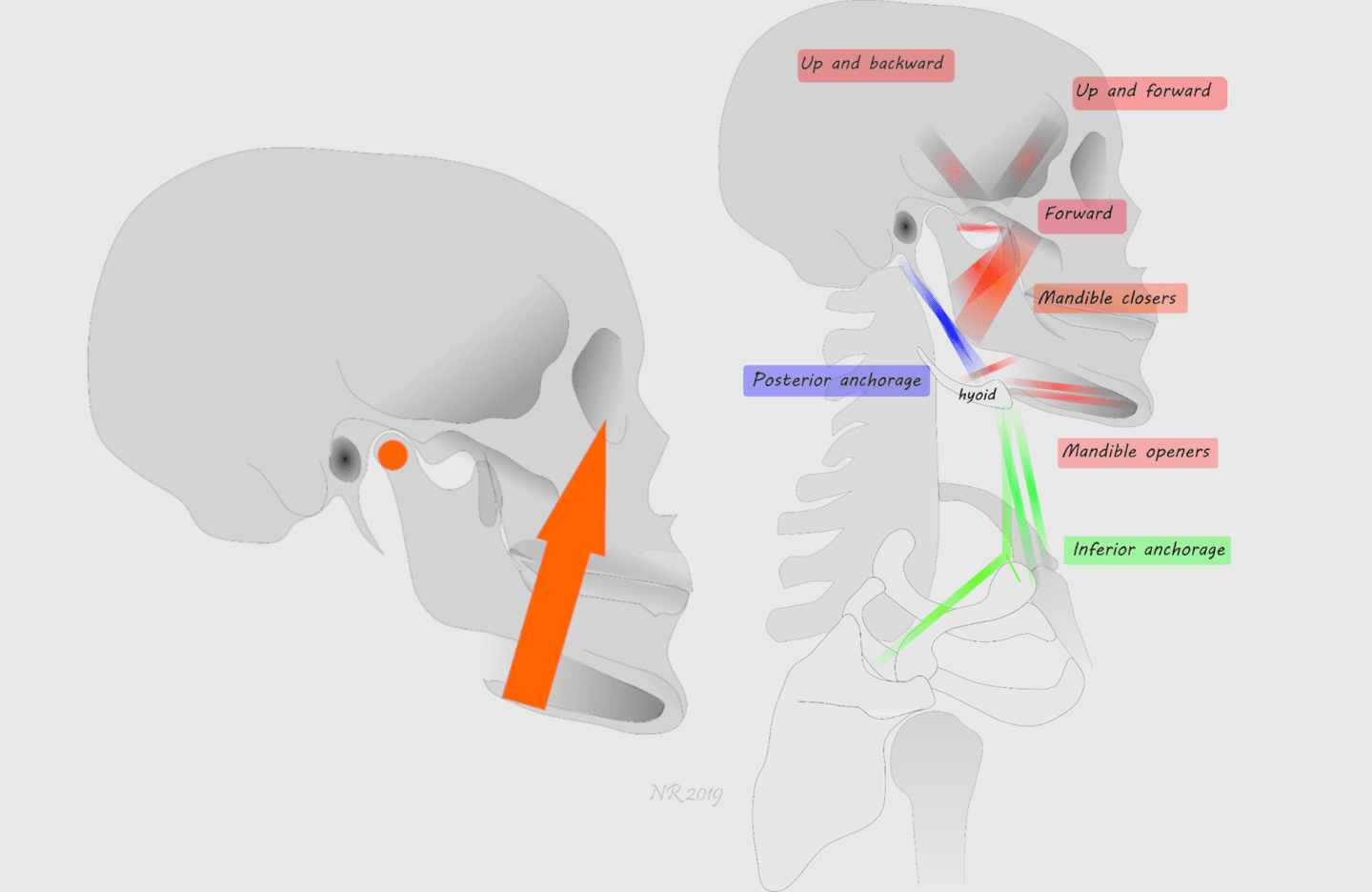 Research imagery from Vinay Ashok Kumar