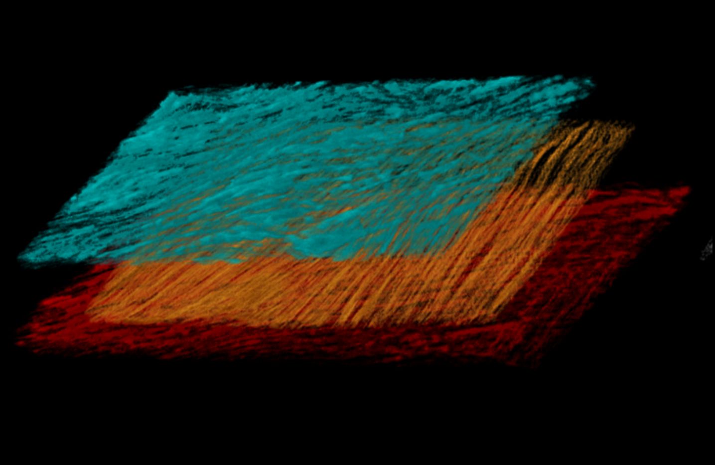 Research imagery from Eran Ittah