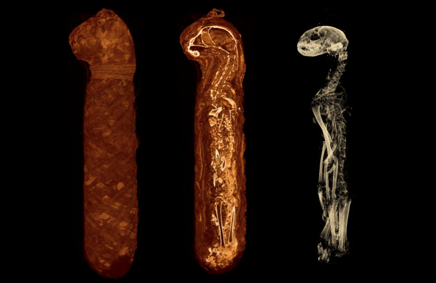 Research imagery from Shumeng Jia